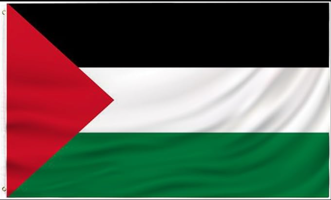 LARGE 3X5 Palestine Flag